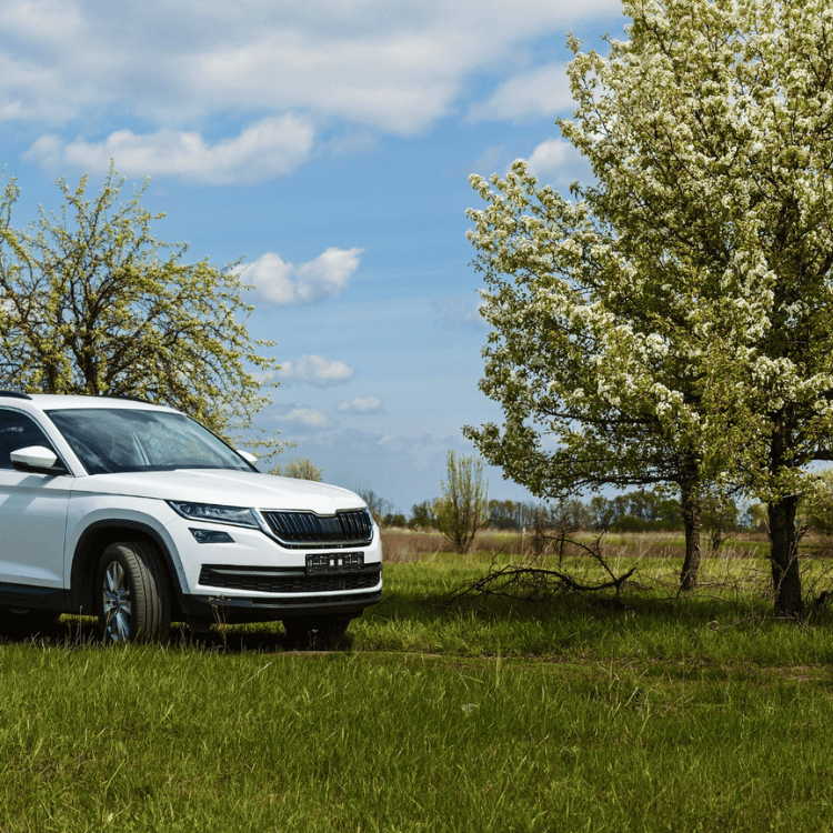 Alquilar coche Orihuela